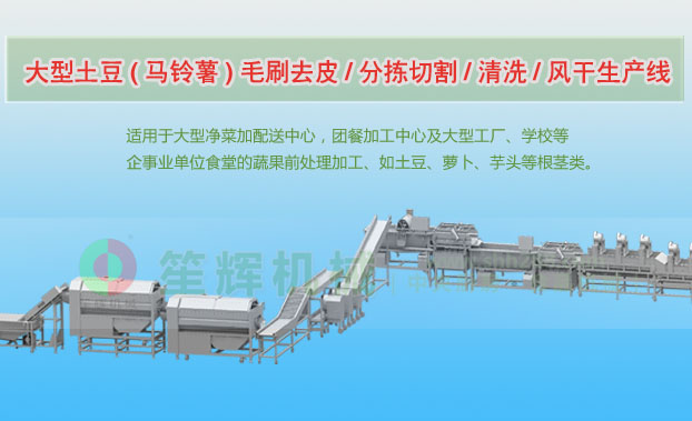 前进连续式土豆去皮清洗切割风干生产线